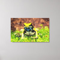 Dyeing Poison Frog, Dendrobates tinctorius,