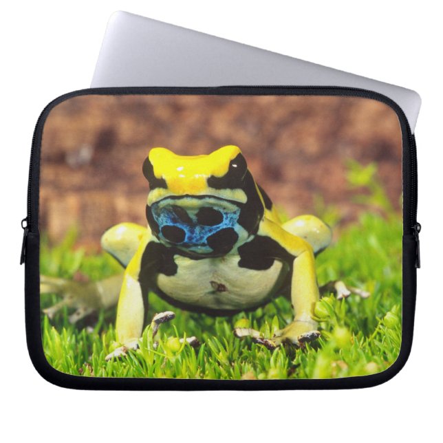 Dyeing Poison Frog, Dendrobates tinctorius, Laptop Sleeve (Front)
