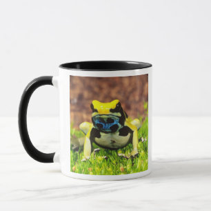 Dyeing Poison Frog, Dendrobates tinctorius, Mug
