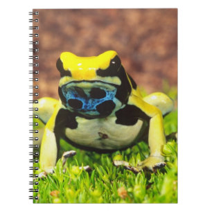 Dyeing Poison Frog, Dendrobates tinctorius, Notebook