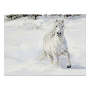 Dyfra the Icelandic Horse Galloping in Snow Poster