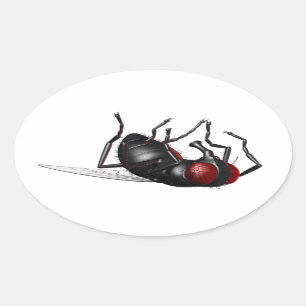 Dying Fly Oval Sticker