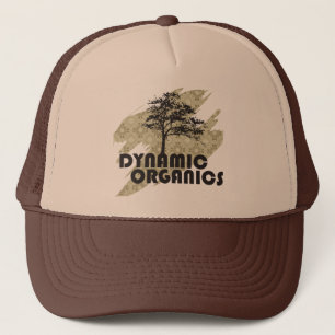 Dynamic Organics Hat
