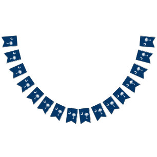 Dynamic South Carolina State Flag Graphic on a