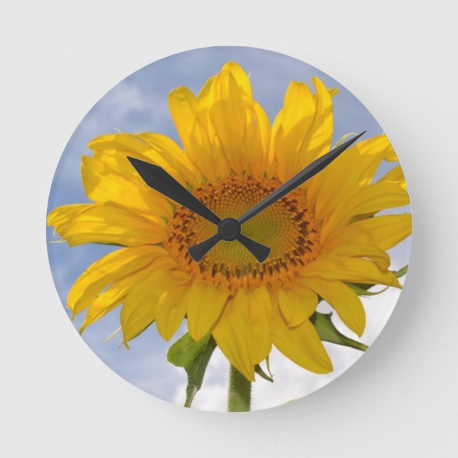 Dynamic Sunflower Clock (Front)