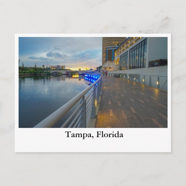 Dynamic view of the Riverwalk at Tampa Florida Holiday Postcard (Front)