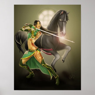 Dynasty Warrior Poster