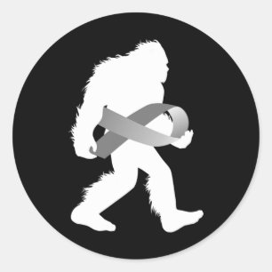 Dyslexia Awareness Reading Disability Sasquatch Classic Round Sticker