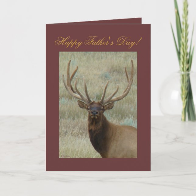 E10 Bull Elk in Velvet Head Shot Card (Front)