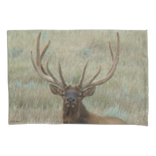 E10 Bull Elk in Velvet Head Shot Pillowcase