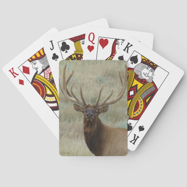 E10 Bull Elk in Velvet Head Shot Playing Cards (Back)