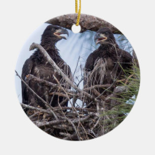 E10 & E11Ornament Ceramic Tree Decoration