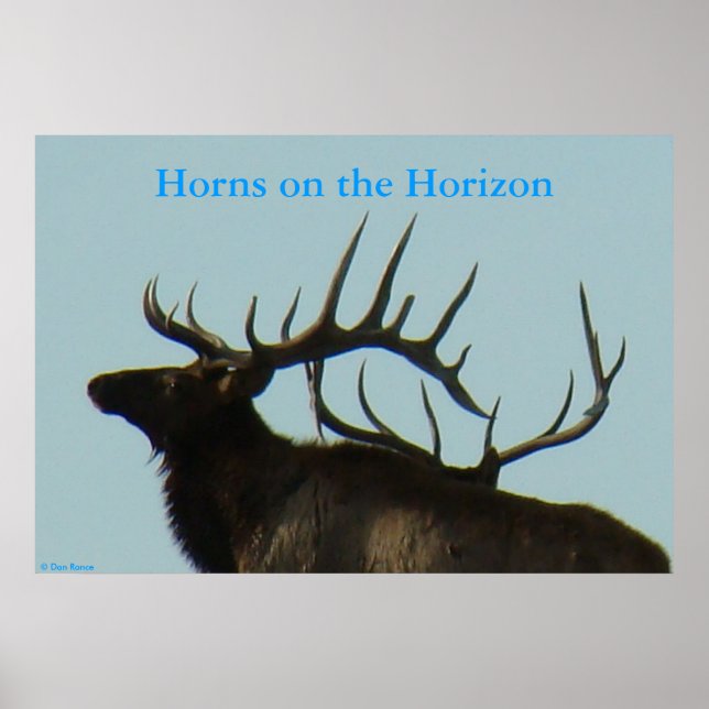 E11 Bull Elk Silhouette Head Shot Poster (Front)