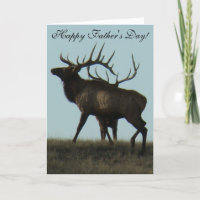 E14 Bull Elk Horns on the Horizon Silhouette