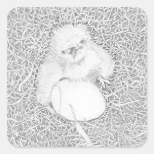 E14 SPREAD THE WORD PROTECT WILDLIFE CROW DONATION SQUARE STICKER