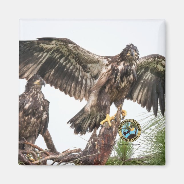 E15 E16 Memorial Magnet (Front)