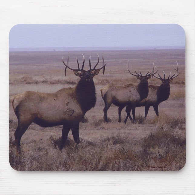 E19 Bull Elk Double Drop Tines Mouse Mat (Front)