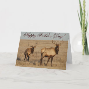 E1 Bull Elk Card