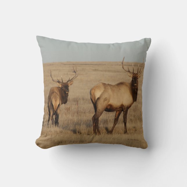 E1 Bull Elk Cushion (Front)