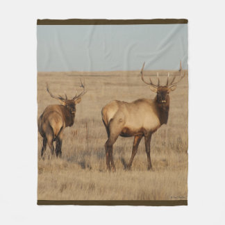 E1 Bull Elk Fleece Blanket