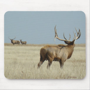 E20 Bull Elk Challenger Mouse Mat
