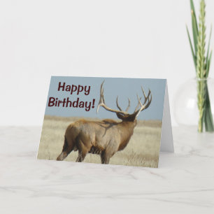 E21 Bull Elk Challenger Card