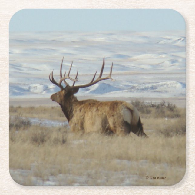 E22 Big Bull Elk and Snowy Hills Square Paper Coaster (Front)