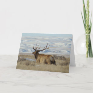 E22 Bull Elk and Snowy Hills Card