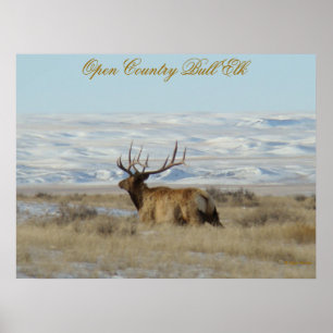 E22 Bull Elk Snowy Hills Poster