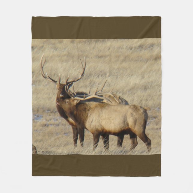 E24 Bull Elk Fleece Blanket (Front)