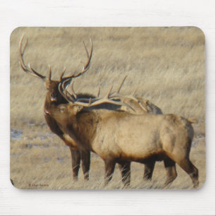 E24 Bull Elk Mouse Mat