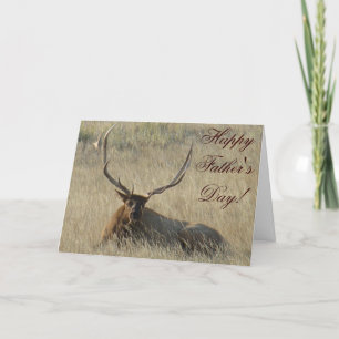 E25 Bull Elk Laying Card