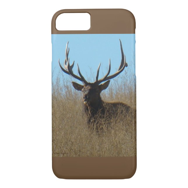 E26 Bull Elk in the Weeds Case-Mate iPhone Case (Back)