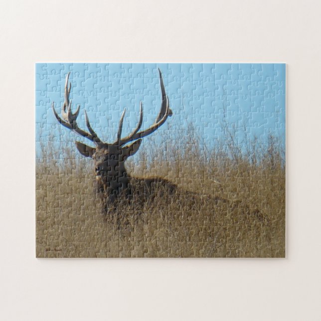 E26 Bull Elk in the Weeds Jigsaw Puzzle (Horizontal)