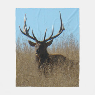 E26 Bull Elk Laying in the Weeds Fleece Blanket