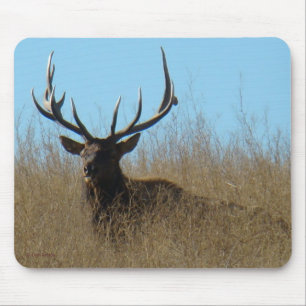 E26 Bull Elk Laying in the Weeds Mouse Mat