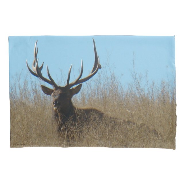 E26 Bull Elk Laying in the Weeds Pillowcase (Front)
