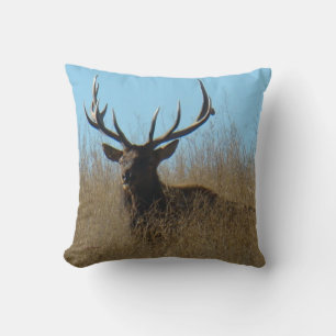 E26 Bull Elk Laying in Weeds Cushion