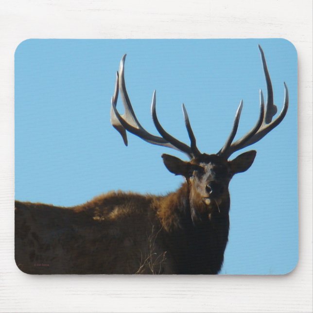E27 Bull Elk Sky Lined Mouse Mat (Front)