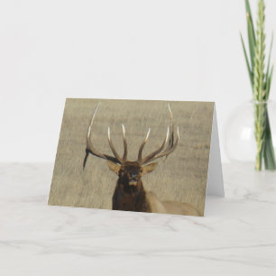 E29 Bull Elk Head Card