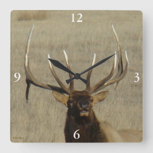E29 Bull Elk Head Shot Square Wall Clock