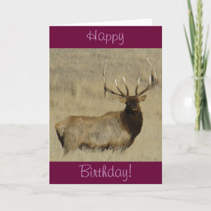 E30 Bull Elk Big Bull Card