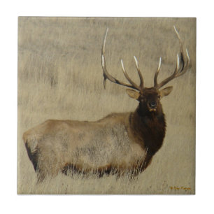 E30 Bull Elk Big Bull Tile