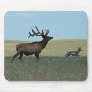 E34 Bull Elk and Antelope Mouse Mat