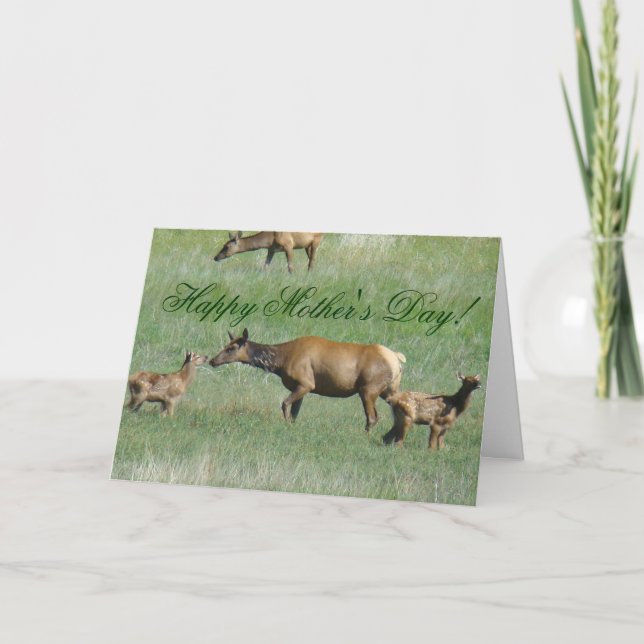 E3 Cow Elk and Calves Card (Front)