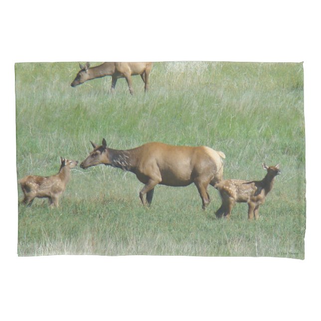 E3 Cow Elk and Calves Nose to Nose Pillowcase (Front)