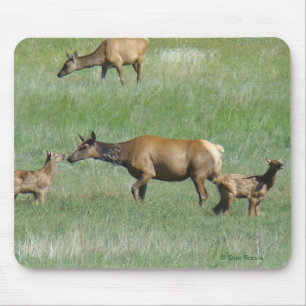 E3 Cow Elk and Young Mouse Mat