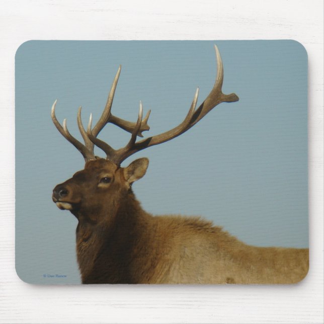 E42 Bull Elk Mouse Mat (Front)