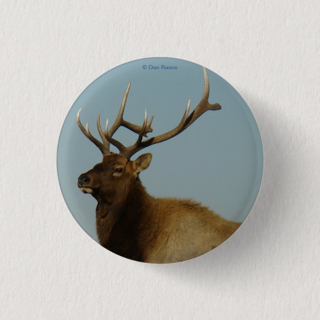E42 Young Bull Elk 3 Cm Round Badge (Front)