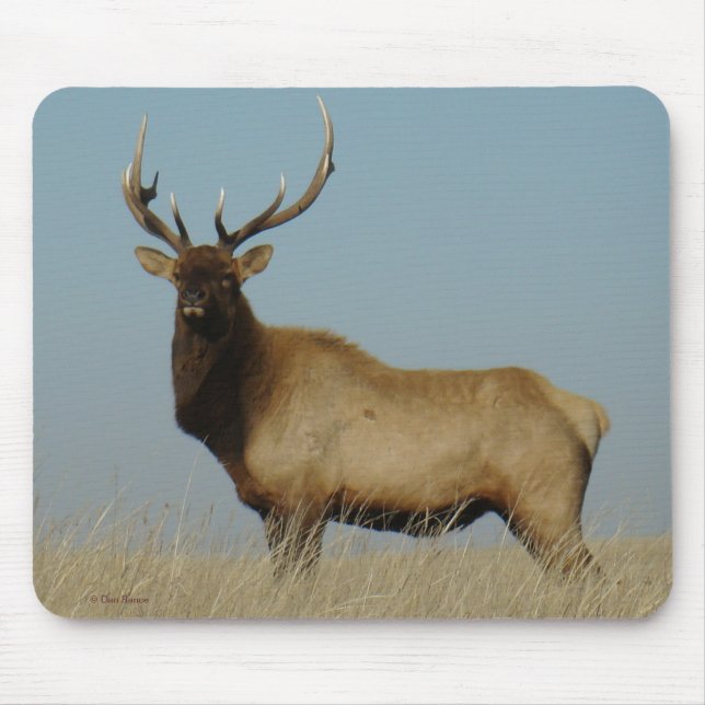 E43 Bull Elk Mouse Mat (Front)
